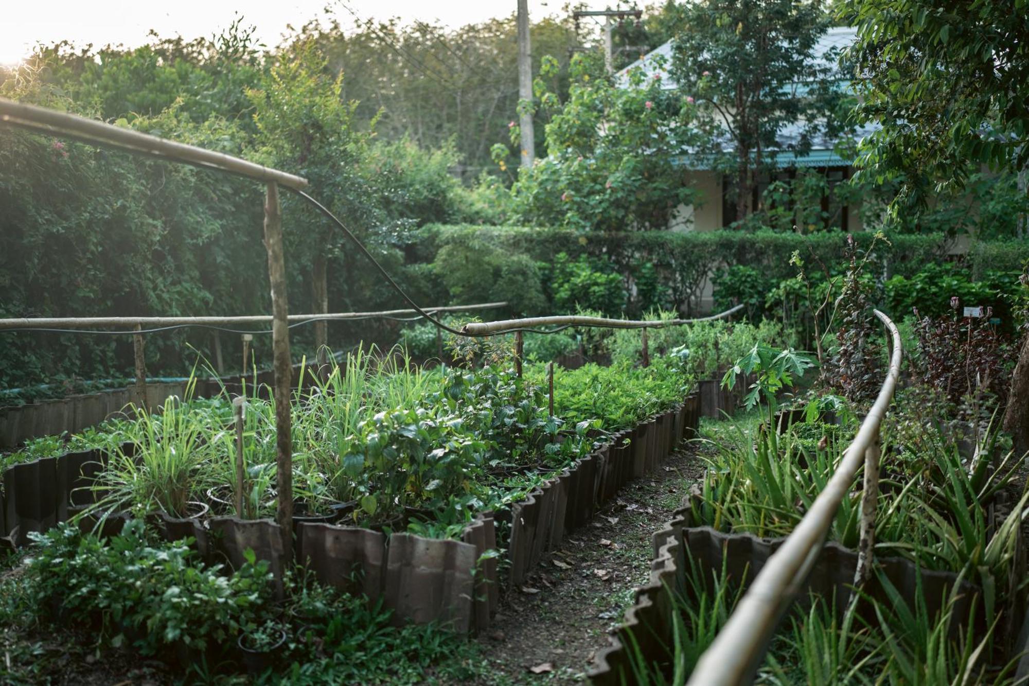 Na Sook Wellness Resort Ao Nam Mao Exterior photo
